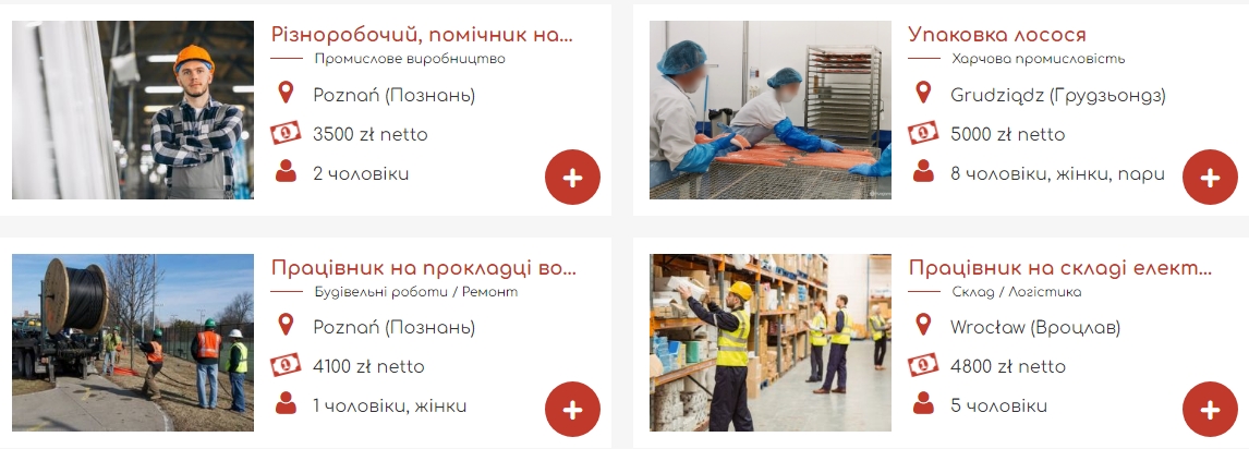 Работа в Польше во время войны: сколько платят украинцам и где искать вакансии